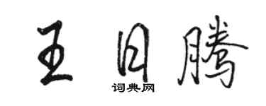 骆恒光王日腾行书个性签名怎么写