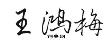 骆恒光王鸿梅行书个性签名怎么写