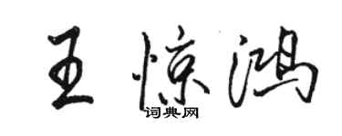 骆恒光王惊鸿行书个性签名怎么写