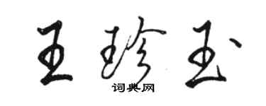 骆恒光王珍玉行书个性签名怎么写
