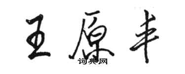 骆恒光王原丰行书个性签名怎么写