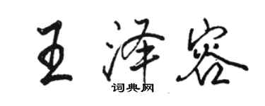骆恒光王泽容行书个性签名怎么写