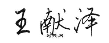 骆恒光王献泽行书个性签名怎么写