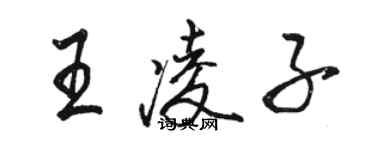 骆恒光王凌子行书个性签名怎么写