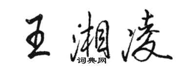 骆恒光王湘凌行书个性签名怎么写