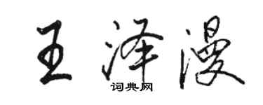 骆恒光王泽漫行书个性签名怎么写