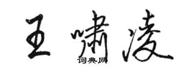 骆恒光王啸凌行书个性签名怎么写