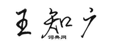 骆恒光王知广行书个性签名怎么写