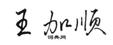 骆恒光王加顺行书个性签名怎么写