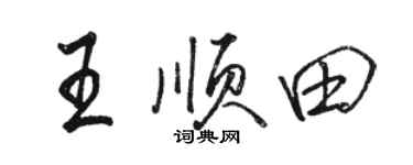 骆恒光王顺田行书个性签名怎么写