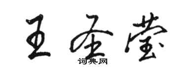 骆恒光王圣莹行书个性签名怎么写