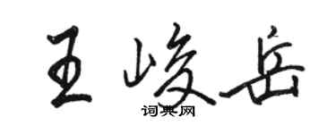骆恒光王峻岳行书个性签名怎么写