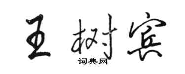 骆恒光王树宾行书个性签名怎么写