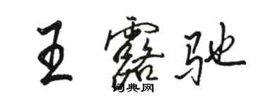骆恒光王露驰行书个性签名怎么写