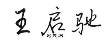骆恒光王启驰行书个性签名怎么写
