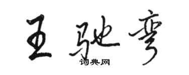 骆恒光王驰弯行书个性签名怎么写