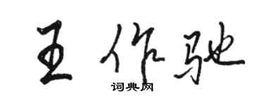 骆恒光王作驰行书个性签名怎么写