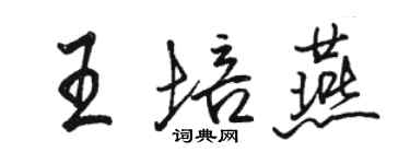 骆恒光王培燕行书个性签名怎么写