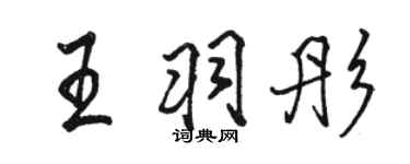 骆恒光王羽彤行书个性签名怎么写