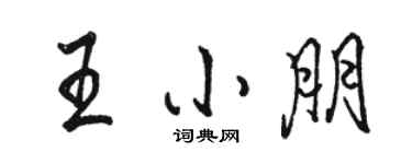 骆恒光王小朋行书个性签名怎么写