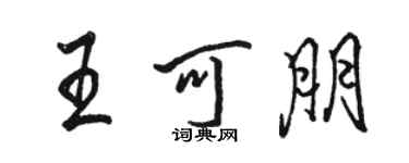 骆恒光王可朋行书个性签名怎么写