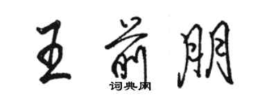骆恒光王前朋行书个性签名怎么写