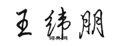 骆恒光王纬朋行书个性签名怎么写