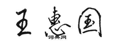 骆恒光王惠国行书个性签名怎么写