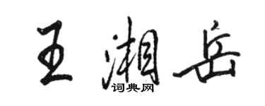 骆恒光王湘岳行书个性签名怎么写