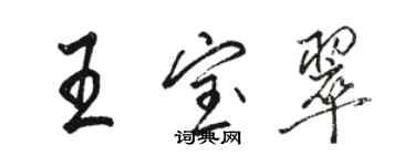 骆恒光王宝翠行书个性签名怎么写