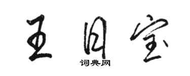 骆恒光王日宝行书个性签名怎么写