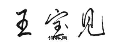 骆恒光王宝见行书个性签名怎么写