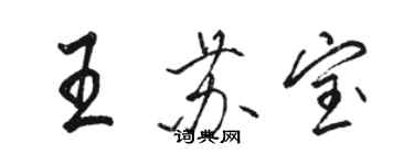 骆恒光王苏宝行书个性签名怎么写
