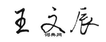 骆恒光王文辰行书个性签名怎么写