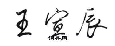 骆恒光王宣辰行书个性签名怎么写