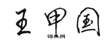 骆恒光王甲国行书个性签名怎么写