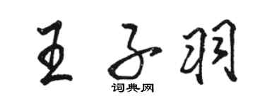 骆恒光王子羽行书个性签名怎么写