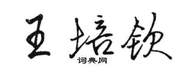 骆恒光王培钦行书个性签名怎么写