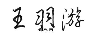 骆恒光王羽游行书个性签名怎么写