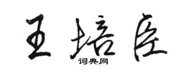 骆恒光王培臣行书个性签名怎么写