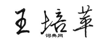 骆恒光王培苹行书个性签名怎么写