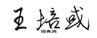 骆恒光王培或行书个性签名怎么写