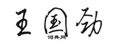 骆恒光王国劲行书个性签名怎么写
