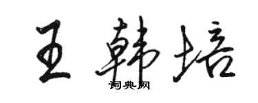 骆恒光王韩培行书个性签名怎么写