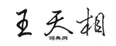 骆恒光王天相行书个性签名怎么写