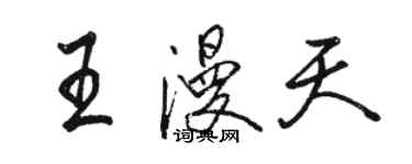 骆恒光王漫天行书个性签名怎么写