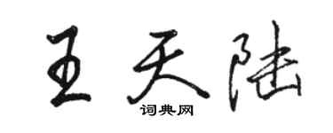 骆恒光王天陆行书个性签名怎么写