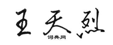 骆恒光王天烈行书个性签名怎么写