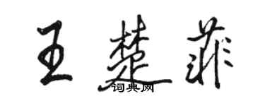 骆恒光王楚菲行书个性签名怎么写