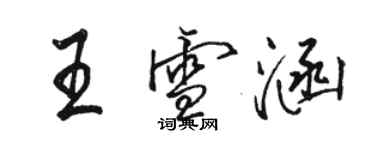 骆恒光王雪涵行书个性签名怎么写